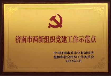 喜报｜918博天堂信息获评济南市两新组织党建示范点